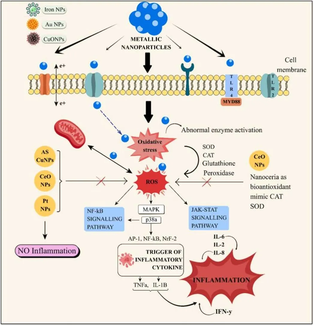 Nanocarrier-induced inflammation: mechanisms, immunometabolic impacts and strategies for safer design